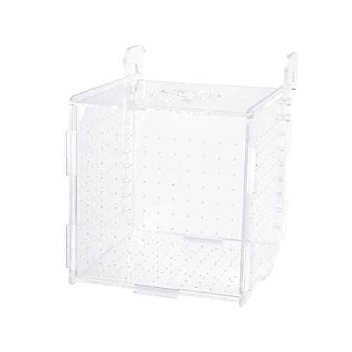 POPETPOP Halter für Aquarien breeding Box Aquarium Fish Tank Incubator Fish Tank breeding Incubator Fish Tank Isolation Box Fisch Netz Panzer Aquarien-Inkubator Brutkasten für Fische von POPETPOP