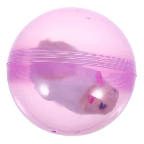 POPETPOP Hamsterball Spielzeug Katzenspielzeug Interaktives Haustierspielzeug Kätzchen Teaser Spielzeug Katze Interaktives Spielzeug Katzen Teaser Ball Katzenspielzeug Kätzchen von POPETPOP