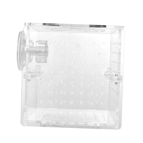 POPETPOP Kasten Isoliertes Aufzuchtbecken Anlasser Pflanzenhalter Für Aquarien Filter Für Aquarien Aquarium- Fischschaufelnetz Panzer Saugnäpfe Für Aquarienschläuche Wasser Transparent von POPETPOP