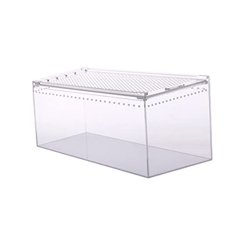 POPETPOP Kasten Krabbelbox Aus Acryl Lebewesen Haustier Laufstall Haken Tank Luftbefeuchter Wachtel Schneckenbecken Unterlage System Geld Futterspender Für Katzen Welpe Transparent von POPETPOP