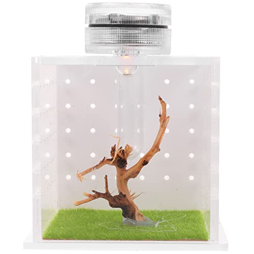 POPETPOP Kasten Springspinnen-Zuchtbox Reptil Springspinnenfall Spinnenbecken Mini-Luftbefeuchter Tier Insektenbehälter Sprungspinnengehege Acryl Terrarium Insektenkiste Schnecken der Zaun von POPETPOP