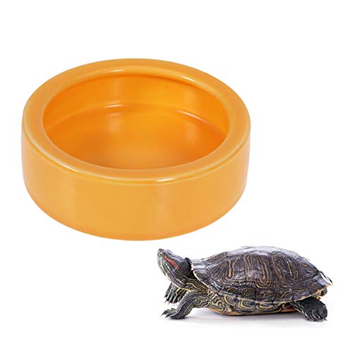 POPETPOP Zubehör Futter Dish Bowl- Fütterung Wasserschüssel Tank Accessoires für Schildkr?te B?rtig Drache Gecko Wurm Echsen Schlangen Mahlwürmer Hamster Hamster Reptichip von POPETPOP