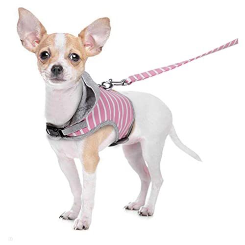 POPETPOP Sommerkleid No-Pull Hundebekleidung Leashelastic Fluchtgurt Xs Fit Tier Geschirre Outdoor Gehen Traktion Katzenweste Zuggeschirr Größe Einstellbar Leibchen von POPETPOP