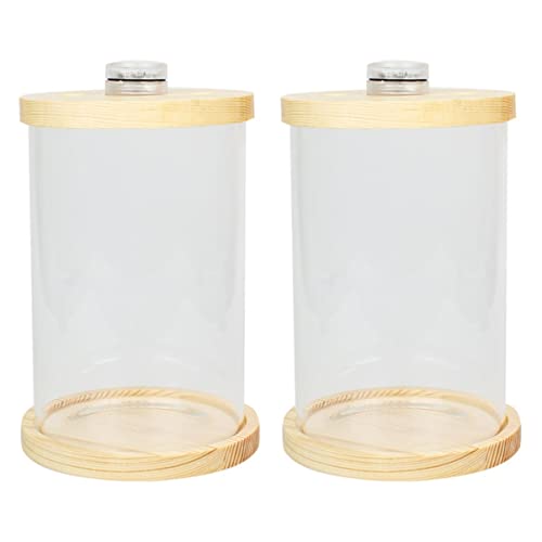 POPETPOP Terrarium Mini Aquarium Wechselnde Starterfarben Bürodekor Desktop Transparent Beleuchtungsset Abdeckung Aquarium Basis Schnecke zum Tropisch Entspannend Mini Aquarium Mini Aquarium von POPETPOP