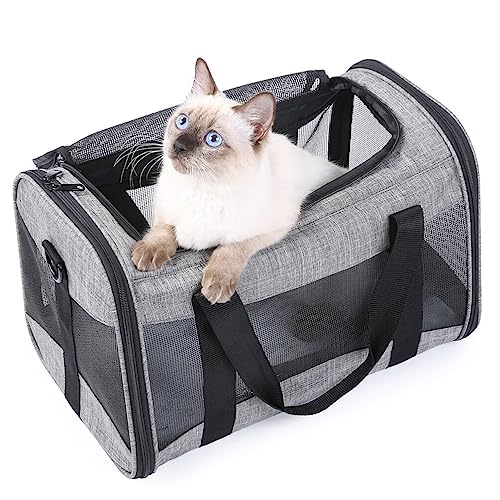 POPETPOP Mesh-katzentragetasche Atmungsaktive Katzentasche Großer Durchsichtiger Rucksack Outdoor-Tasche Für Hunde Transportbox Für Haustiere Welpe Mesh-Tasche Reisen Netz Faltbar von POPETPOP