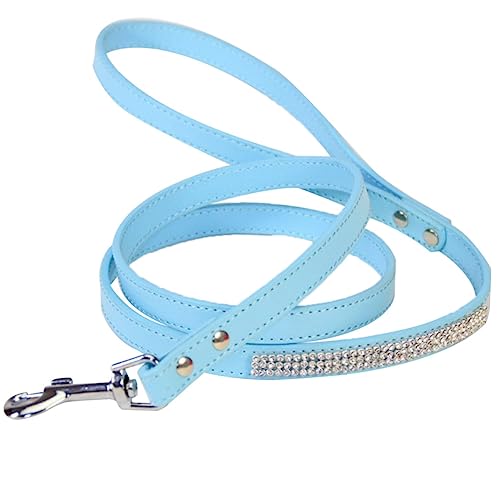 POPETPOP für Hunde pet Supplies joggingleine Lederleine hundegurt hundetraining für kleine Hunde für Welpen Haustiere Hundespaziergang führt Hundeleine Blue von POPETPOP