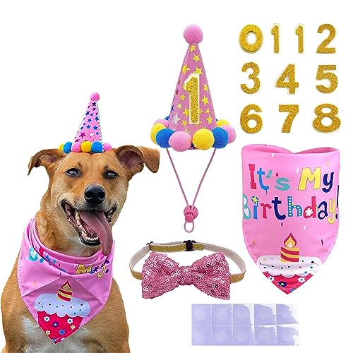 POSAPET Rosa Krone Hund Geburtstag Party Hut Mädchen mit Zahlen Hund Geburtstag Schal Bandana Fliege Weibliche für Kleine Hunde Katzen von POSAPET