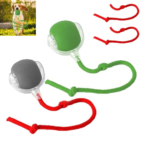 POTKFMN Pfotenstern Magic Ball, Interaktiver Spielball für Hunde, Magic Ball Hund, Magic Ball von Pfotenstern Mit USB Aufladbar, Hundeball Elektrisch mit Schwanz für Katzen und Hunde (2PCS-A,Button) von POTKFMN