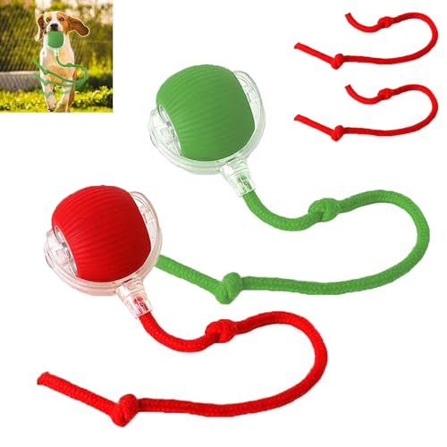 POTKFMN Pfotenstern Magic Ball, Interaktiver Spielball für Hunde, Magic Ball Hund, Magic Ball von Pfotenstern Mit USB Aufladbar, Hundeball Elektrisch mit Schwanz für Katzen und Hunde (2PCS-B,Button) von POTKFMN