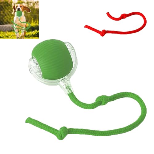 POTKFMN Pfotenstern Magic Ball, Interaktiver Spielball für Hunde, Magic Ball Hund, Magic Ball von Pfotenstern Mit USB Aufladbar, Hundeball Elektrisch mit Schwanz für Katzen und Hunde (Green,Wake) von POTKFMN