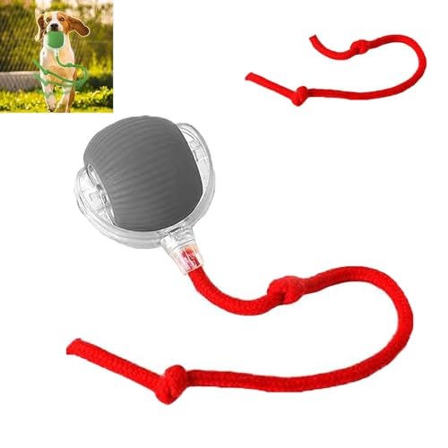 POTKFMN Pfotenstern Magic Ball, Interaktiver Spielball für Hunde, Magic Ball Hund, Magic Ball von Pfotenstern Mit USB Aufladbar, Hundeball Elektrisch mit Schwanz für Katzen und Hunde (Grey,Wake) von POTKFMN