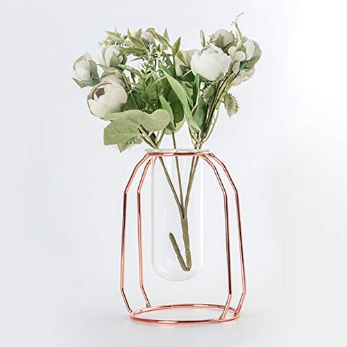 POTRUWE Vase mit Metallrahmen, Blumenvase aus Eisen, Nordischer Stil, Transparente Kleine Knospenvase, Blumenvase aus Schmiedeeisen, Glasanzuchtstation mit Metallrahmen für das von POTRUWE