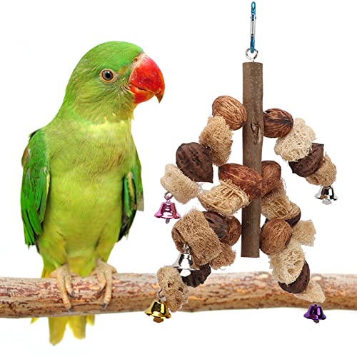 POTRUWE Vogelspielzeug, Papageien-Beißschnurspielzeug, Vogelnuss-Luffa-Kombination mit Glockenkäfig, Hängendes Vogelbissspielzeug, Vogel-Kauspielzeug, Futtersuche, von POTRUWE