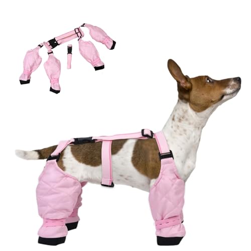 Hundestiefel und Pfotenschutz, Hundepfotenstiefel, Leggings, Hundeschuhe für den Winter, wasserdichte Hundeschuhe, rutschfeste Hundeschuhe, schmutzdicht, für den Winter, Outdoor, Spazierengehen, von POVVFRTY