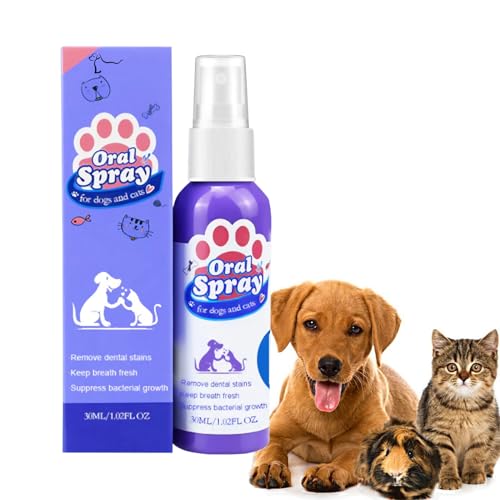 POWWA Hund & Katze Zahnreinigungsspray Flecken entfernen Schlechten Atem Frischen Atem Haustier Mundpflege Spray (A) von POWWA