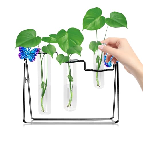 Pflanzen-Terrarium mit Metallhalterung – Desktop-Glasvase für Wasserpflanzen, Heim- und Bürodekoration, Hydrokultur-Blumenschneidebehälter von POXOHO
