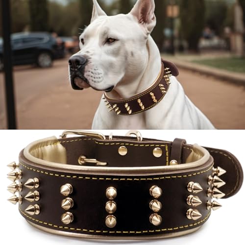 Hundehalsband aus Leder mit Spikes, handgefertigt, 5,6 cm breit, mutiger Schutz und stilvolles Design, ideal für kraftvolle Rassen, Goldbraun, 50 - 60 cm von PP COLOR