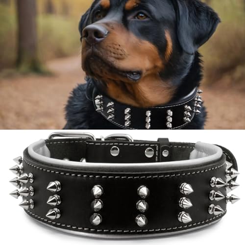 Hundehalsband aus Leder mit Stacheln, handgefertigt, 5,6 cm breit, mutiger Schutz und stilvolles Design, ideal für kraftvolle Rassen, silberner Schatten, 50 - 60 cm von PP COLOR