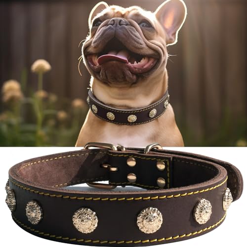 Hundehalsband für mittelgroße Hunde, echtes Leder, handgefertigt, beeindruckend und bequem, goldfarbene Schnalle und Nieten, luxuriöser Stil, verstellbar 39,4–48,3 cm von PP COLOR