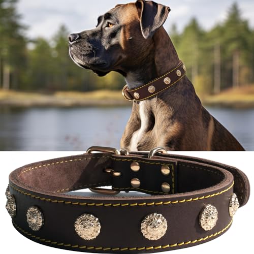 Hundehalsband für mittelgroße Hunde, echtes Leder, handgefertigt, beeindruckend und bequem, goldfarbene Schnalle und Nieten, luxuriöser Stil, verstellbar 45,7–54,6 cm von PP COLOR