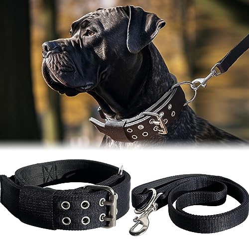 Hundehalsband und Leine, 5,1 cm breit, schwarze Halsbänder mit Griff und 1,5 m Leine für extra große Hunderassen, robustes K9-Nylon, taktisches Halsband und Leine, Halsbandgröße 43,2–55,9 cm von PP COLOR