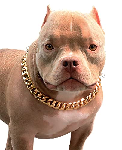 PP COLOR Goldkette Hundehalsband, 3/4 Breite, kubanische Glieder-Halskette, niedliches modisches Haustierhalsband für Bulldogge, Leichtmetall-Schmuckkette, Welpenzubehör, 27,9 cm von PP COLOR