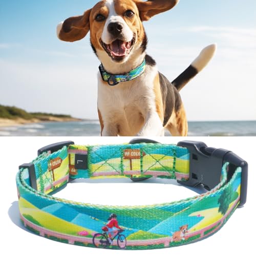 PP COLOR Hundehalsband für mittelgroße Hunde, hochwertig verarbeitet und hochwertig, für den täglichen Gebrauch, verstellbare Länge und Schnellverschluss-Schnalle, einzigartiges Design, 30,5–40,6 cm von PP COLOR