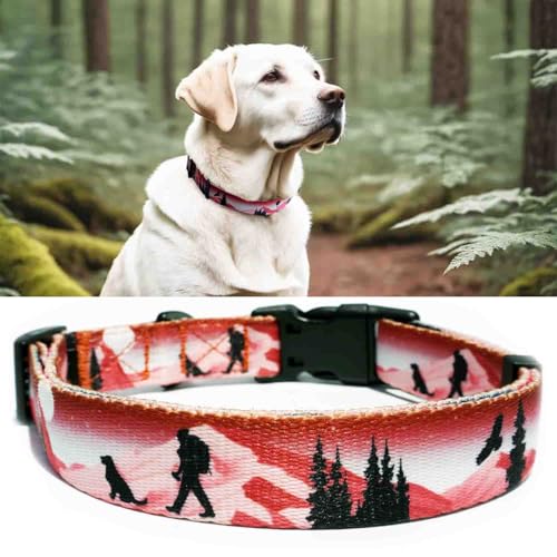 PP COLOR Hundehalsband für mittelgroße Hunde, hochwertig verarbeitet und hochwertig, für den täglichen Gebrauch, verstellbare Länge und Schnellverschluss-Schnalle, einzigartiges Design, 30,5–40,6 cm von PP COLOR