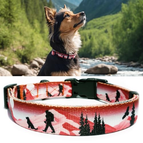 PP COLOR Hundehalsband für mittelgroße Hunde, hochwertig verarbeitet und hochwertig, für den täglichen Gebrauch, verstellbare Länge und Schnellverschluss-Schnalle, einzigartiges Design, 36,8–50,8 cm von PP COLOR