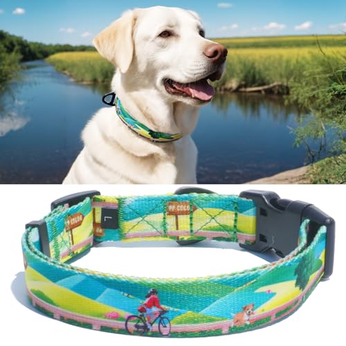 PP COLOR Hundehalsband für mittelgroße Hunde, hochwertig verarbeitet und hochwertig, für den täglichen Gebrauch, verstellbare Länge und Schnellverschluss-Schnalle, einzigartiges Design, 45,7–66 cm von PP COLOR