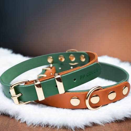 PP COLOR Premium-Hundehalsband aus echtem Leder, langlebig, 4,5 mm dick, farbblockierendes Design mit rotgoldenen Beschlägen, erhältlich in 4 Größen für kleine, mittelgroße und große Hunde, 48,3–58,4 von PP COLOR