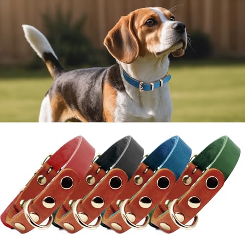 PP COLOR Premium-Hundehalsband aus echtem Leder, langlebig, 4,5 mm dick, farbblockierendes Design mit rotgoldenen Beschlägen, erhältlich in 4 Größen für kleine, mittelgroße und große Hunde, Blau, von PP COLOR