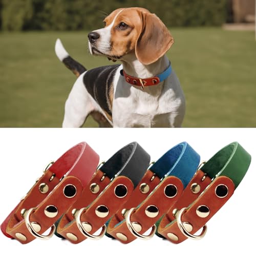 PP COLOR Premium-Hundehalsband aus echtem Leder, langlebig, 4,5 mm dick, farbblockierendes Design mit rotgoldenen Beschlägen, erhältlich in 4 Größen für kleine, mittelgroße und große Hunde, Blau, von PP COLOR