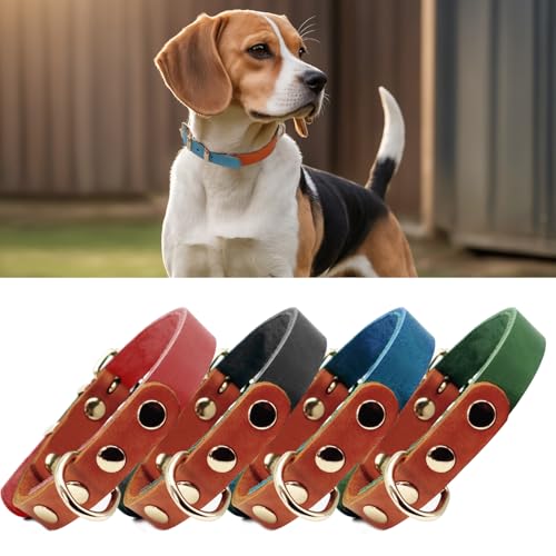 PP COLOR Premium-Hundehalsband aus echtem Leder, langlebig, 4,5 mm dick, farbblockierendes Design mit rotgoldenen Beschlägen, erhältlich in 4 Größen für kleine, mittelgroße und große Hunde, Blau, von PP COLOR