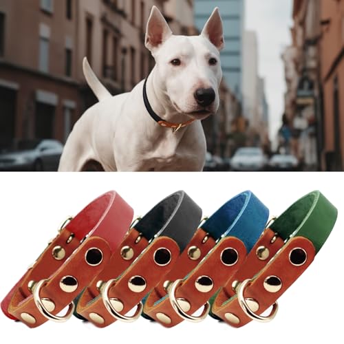 PP COLOR Premium-Hundehalsband aus echtem Leder, langlebig, 4,5 mm dick, farbblockierendes Design mit rotgoldenen Beschlägen, erhältlich in 4 Größen für kleine, mittelgroße und große Hunde, Schwarz, von PP COLOR