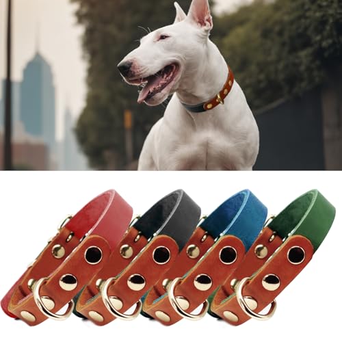 PP COLOR Premium-Hundehalsband aus echtem Leder, langlebig, 4,5 mm dick, farbblockierendes Design mit rotgoldenen Beschlägen, erhältlich in 4 Größen für kleine, mittelgroße und große Hunde, Schwarz, von PP COLOR