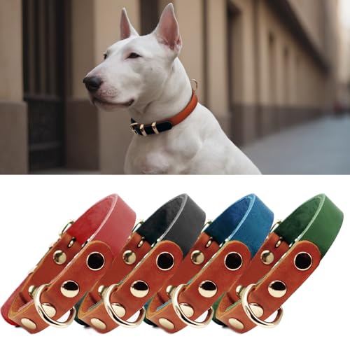 PP COLOR Premium-Hundehalsband aus echtem Leder, langlebig, 4,5 mm dick, farbblockierendes Design mit rotgoldenen Beschlägen, erhältlich in 4 Größen für kleine, mittelgroße und große Hunde, Schwarz, von PP COLOR