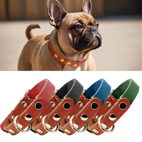 PP COLOR Premium-Hundehalsband aus echtem Leder, langlebig, 4,5 mm dick, farbblockierendes Design mit rotgoldenen Beschlägen, erhältlich in 4 Größen für kleine, mittelgroße und große Hunde, Rot, von PP COLOR