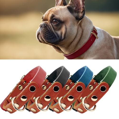 PP COLOR Premium-Hundehalsband aus echtem Leder, langlebig, 4,5 mm dick, farbblockierendes Design mit rotgoldenen Beschlägen, erhältlich in 4 Größen für kleine, mittelgroße und große Hunde, Waldgrün, von PP COLOR