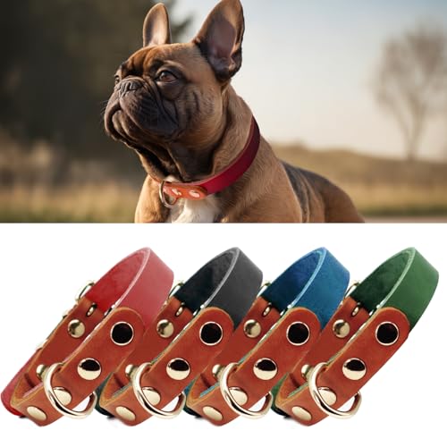 PP COLOR Premium-Hundehalsband aus echtem Leder, langlebig, 4,5 mm dick, farbblockierendes Design mit rotgoldenen Beschlägen, erhältlich in 4 Größen für kleine, mittelgroße und große Hunde, Rot, von PP COLOR