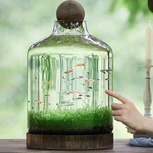 PP-Vic Ökologischer Fischtank Mit Holzbasis, Retro-Tischplatten-Aquaponik-Aquarium, Büro Kleiner Betta-Fischtank, Glas Mit Hoher Übertragung Fischtanks, Ultra Clear Glass Fischschale,XL von PP-Vic