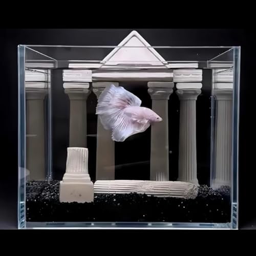 PP-Vic Retro HD Betta Fischtank, HD -Glastanks Für Betta Fisch, Professionelle Betta Fisch Goldfischschale, Vintage Kompakte Transparente Panzer, Palaststil Aquariumtank, Extra Klarer Glasfischschale von PP-Vic