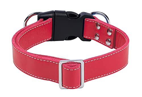 PPEETT Hundehalsband aus weichem Leder, verstellbare Größe, geeignet für große, mittelgroße und kleine Hunde, zum Laufen und Spazierengehen, Schwarz/Kaffeebraun/Rot/Blau (Rot, M 33-48,3 cm x 2,5 cm) von PPEETT