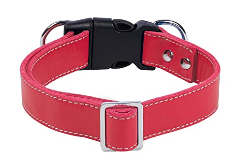 PPEETT Hundehalsband aus weichem Leder, verstellbare Größe, geeignet für große, mittelgroße und kleine Hunde, zum Laufen und Spazierengehen, Schwarz/Kaffeebraun/Rot/Blau (Rot, S 25.4,33 cm, B 1.9 cm) von PPEETT