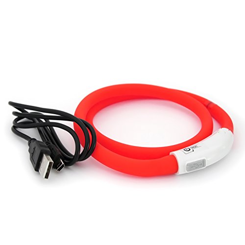 LED Hundehalsband in rot Leuchthalsband aufladbar per USB-C Halsband individuell kürzbar PRECORN von PRECORN