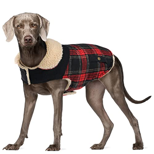 Preferhouse Wintermantel für kleine und mittelgroße Hunde, Welpe Plaid Jacke, Baumwollmantel für kaltes Wetter, winddichte warme Hundekleidung, Haustier verdickte Outfits Indoor Outdoor, L von PREFERHOUSE