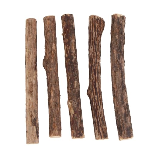 PRETYZOOM 25st Polygonum Molar Stick Zahnreinigungsspielzeug Für Katzen Zähne Backenzahn Spielzeug Zahnputzspielzeug Für Katzen Leckereien Für Kätzchenzähne Polygonum Holz Bilden Kauen von PRETYZOOM