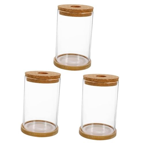 PRETYZOOM 3 Sets Hydrokultur Vase Vase Leer Terrarium Moosflasche Terrarium Glasbehälter Terrariumpflanzen Landschaftsbehälter Transparente Flasche Kleines Aquarium Bambus von PRETYZOOM