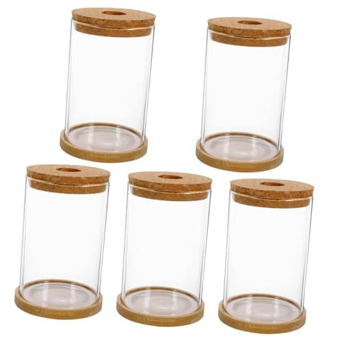 PRETYZOOM 5 Sets Hydrokultur Vase Vase Moosflasche Kleines Aquarium Terrarium Glasbehälter Moosterrarium Leeres Terrarium Tischdekoration Pflanzen Flasche Glas Bambus von PRETYZOOM