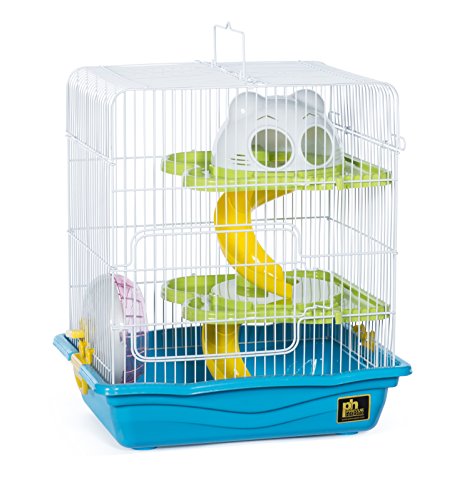 Prevue Pet Products SP2003BLUE Hamster Haven, klein, Blau von Prevue Hendryx